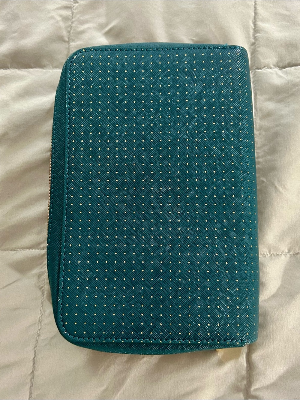 Anthropologie Teal Green Travel Tech Carry All Cream Interior Zip Pouch